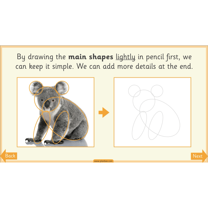 PlanBee Animal Art KS1 | Art Lesson Pack
