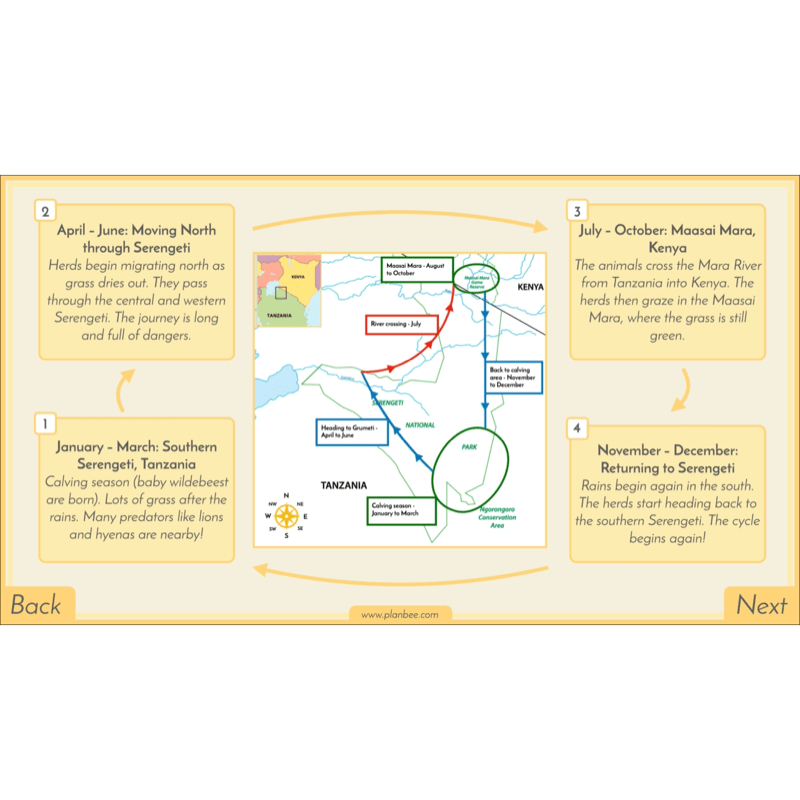 PlanBee Biomes KS2 Geography Lessons