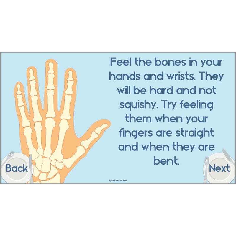 PlanBee Animals Including Humans Year 3 Science Lessons by PlanBee