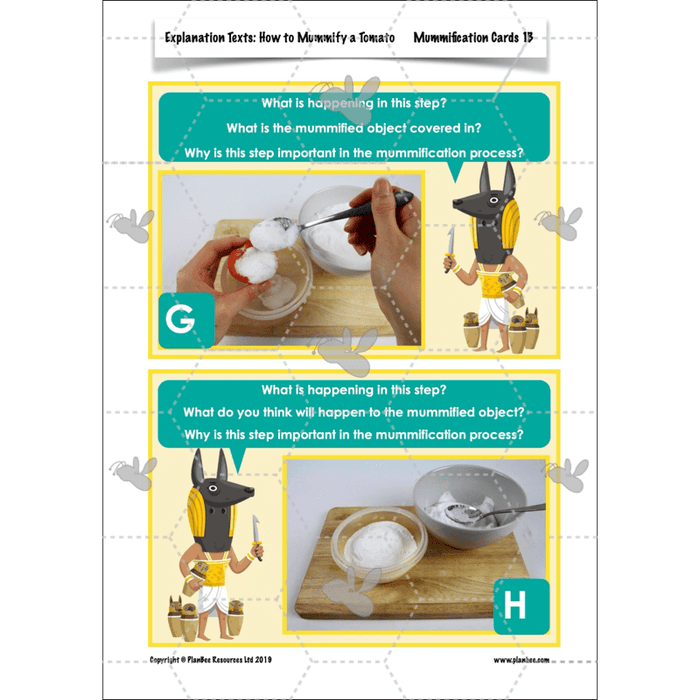 PlanBee Explanation Texts: How to Mummify a Tomato | KS2 English