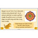 PlanBee Indian Art KS2 Lesson Planning Packs for Year 3/4 by PlanBee