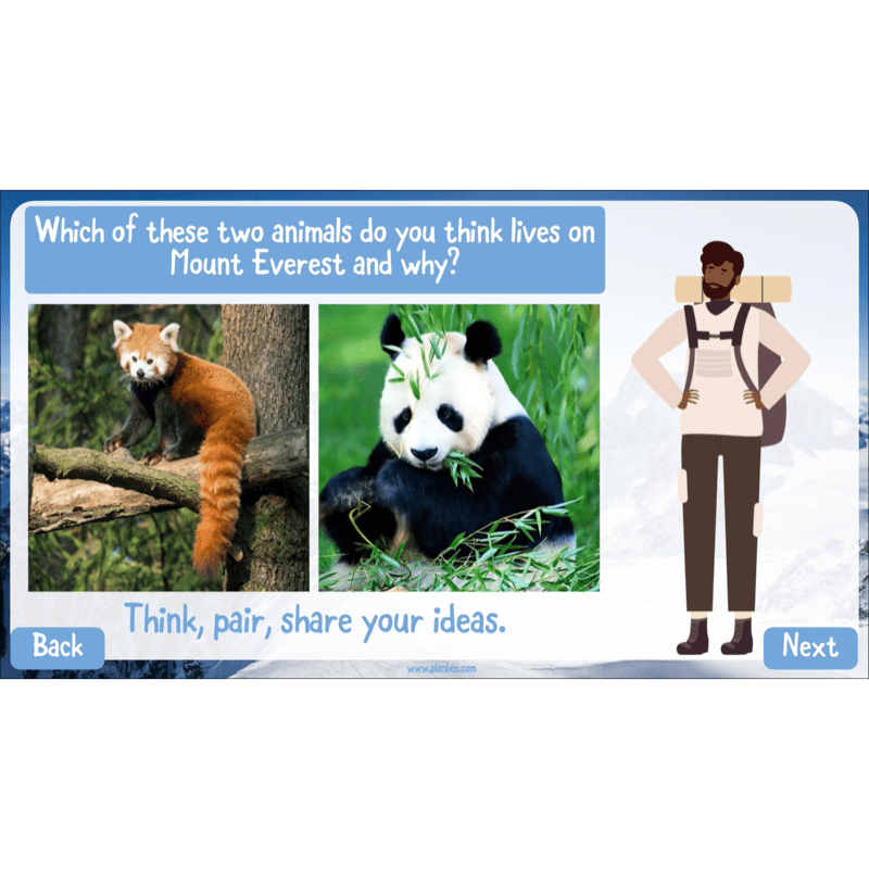 PlanBee Mountain Science KS2 | Food Chains, Adaptation & Life Cycles