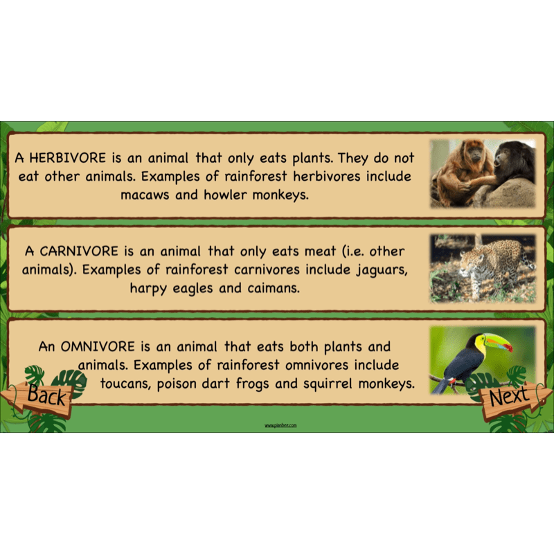PlanBee Rainforest Habitats KS2 Science Lesson Pack