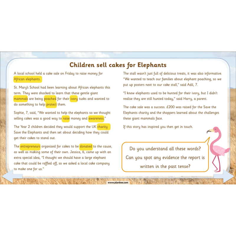 PlanBee Safari Adventures KS1 | English Lesson Pack