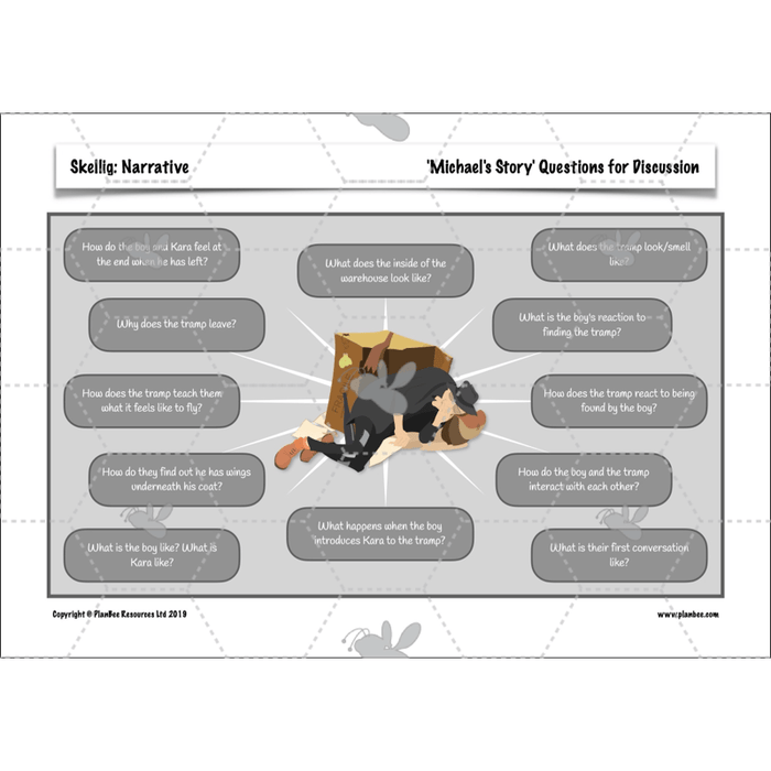 PlanBee Skellig: Narrative