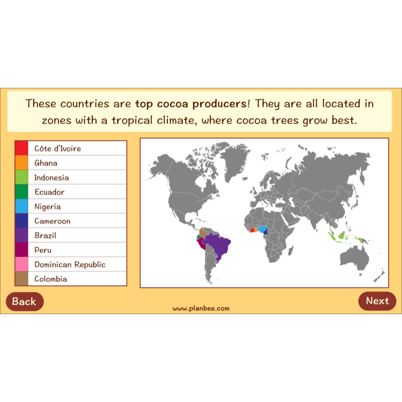 PlanBee Where does Chocolate come from? | KS2 Geography lessons
