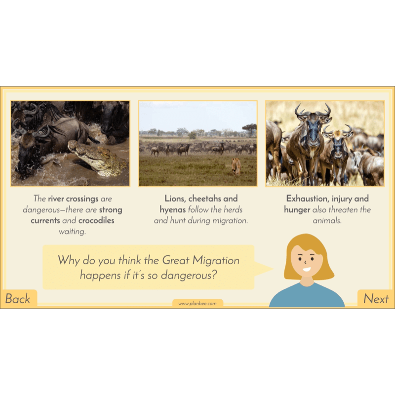 PlanBee Biomes KS2 Geography Lessons