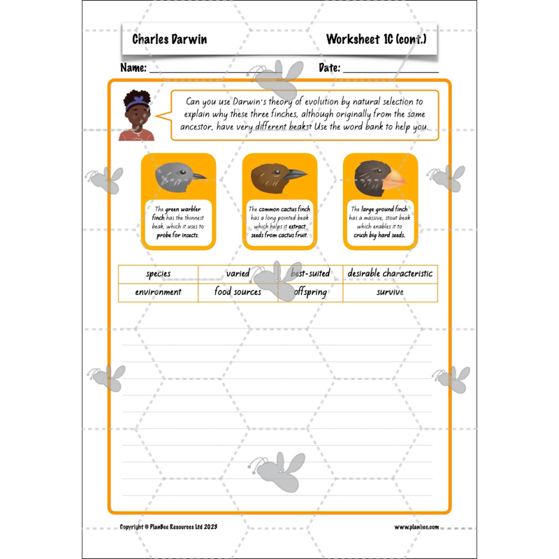 PlanBee Charles Darwin KS2 Lesson Pack