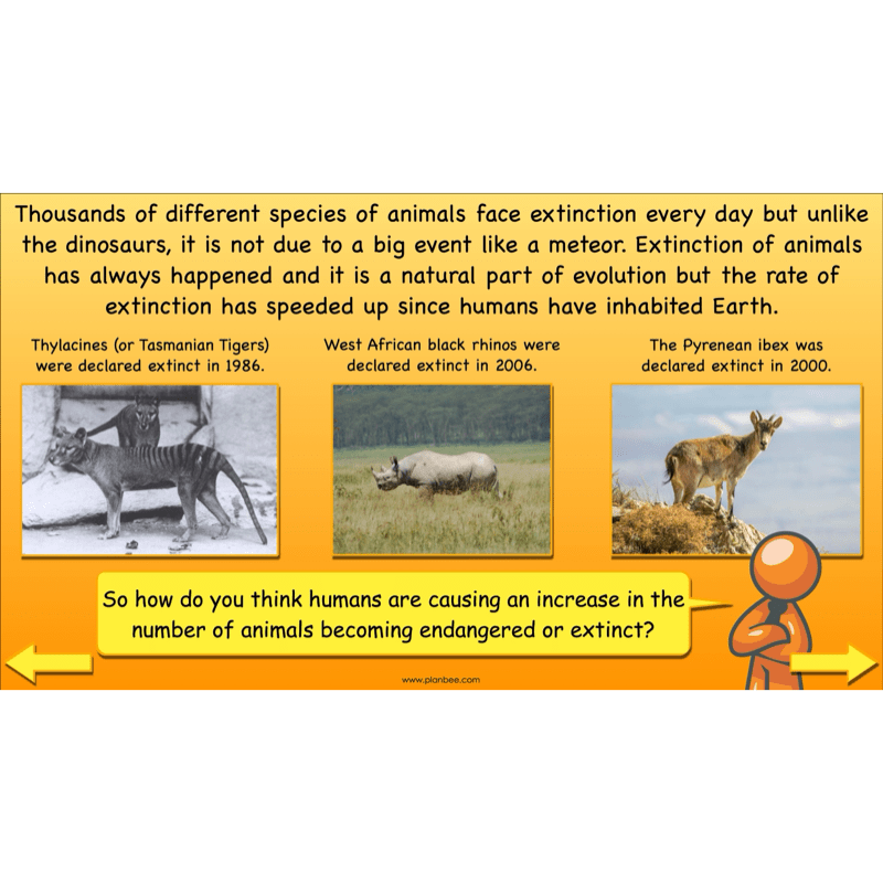 PlanBee Dinosaurs Topic KS2 Enrichment Lesson Pack