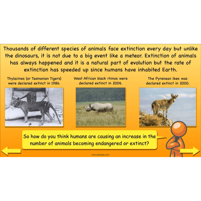 PlanBee Dinosaurs Topic KS2 Enrichment Lesson Pack