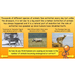 PlanBee Dinosaurs Topic KS2 Enrichment Lesson Pack