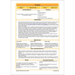 PlanBee FREE Mini-scheme | Floodland: Speech Writing KS2 English