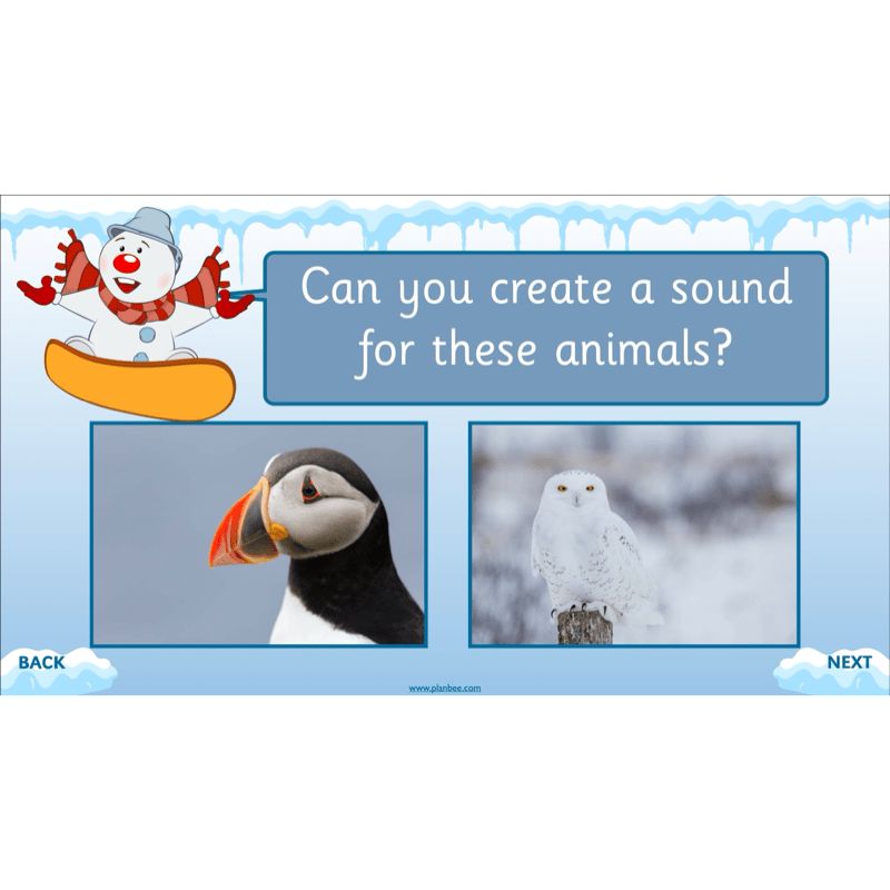 PlanBee In the Arctic Topic KS1 Enrichment Lesson Pack