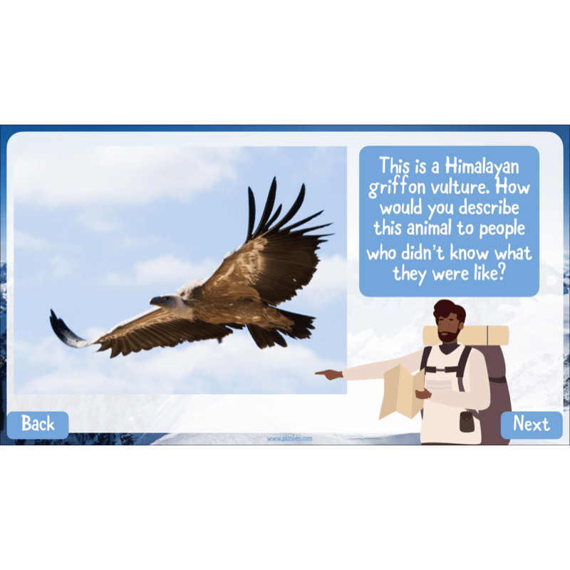 PlanBee Mountain Science KS2 | Food Chains, Adaptation & Life Cycles