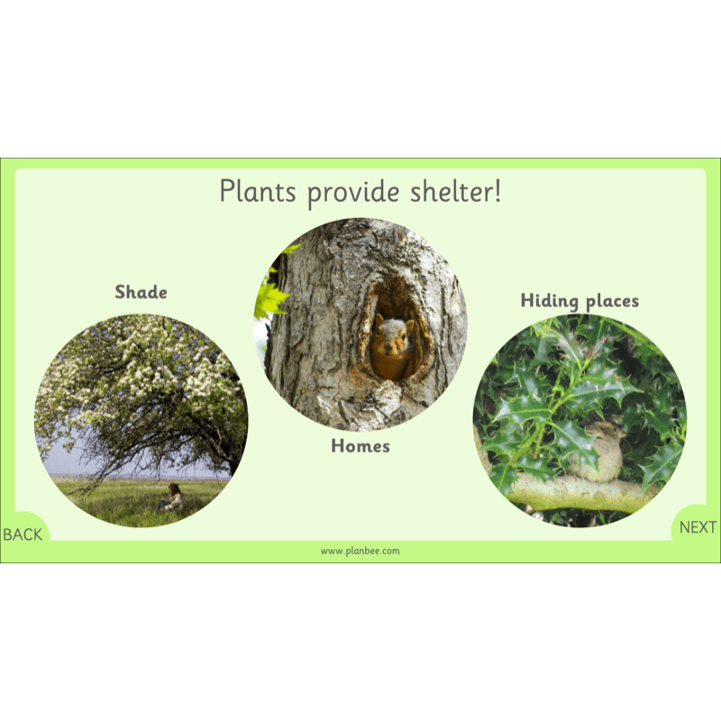 PlanBee Our Wonderful World - Creation Story KS1 RE Lessons | PlanBee