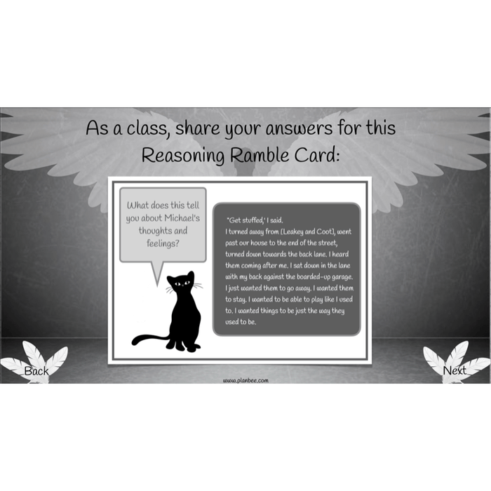 PlanBee Skellig: Reading Comprehension