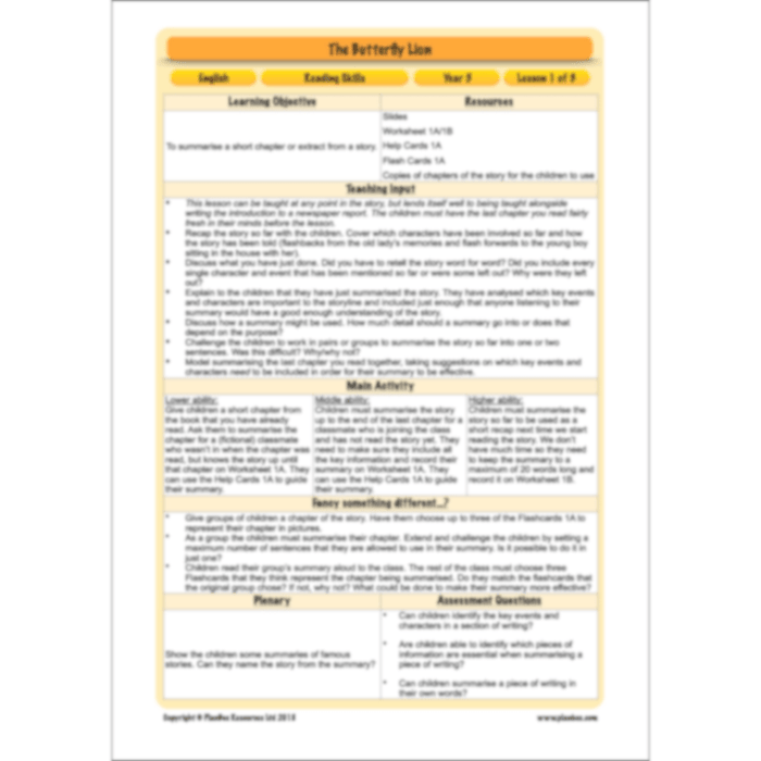 PlanBee FREE Mini-scheme | The Butterfly Lion Reading Skills KS2