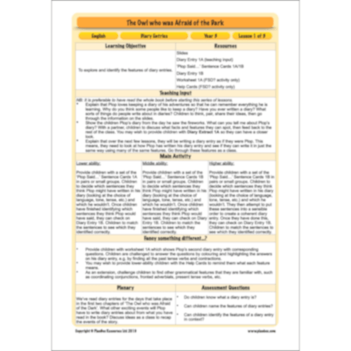 PlanBee FREE | The Owl who was Afraid of the Dark | Diaries KS2