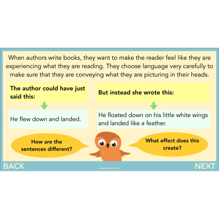 PlanBee The Owl who was Afraid of the Dark | KS2 Comprehension