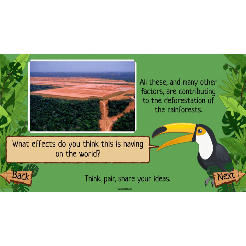 PlanBee The Rainforest Biome KS2 | Geography Lesson Pack
