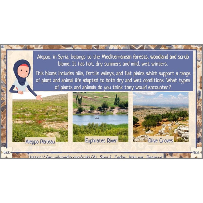 PlanBee The Silk Road KS2 Geography lessons | PlanBee