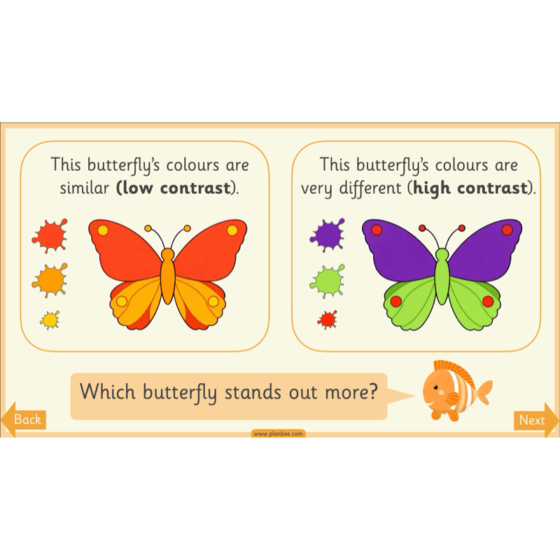 PlanBee Animal Art KS1 | Art Lesson Pack