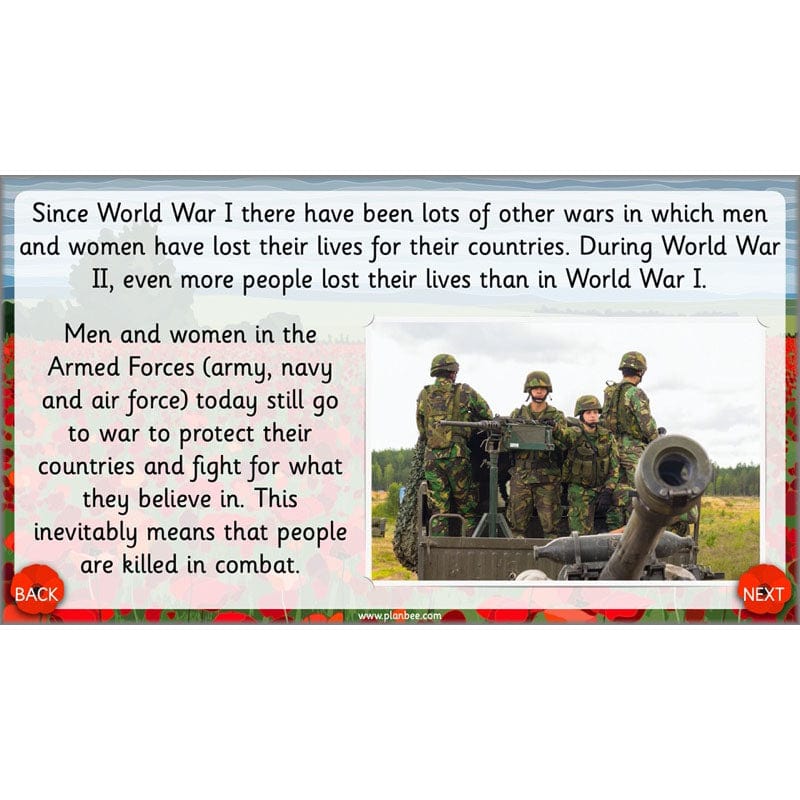 PlanBee KS1 Remembrance Day Lesson | Year 2 History Planning