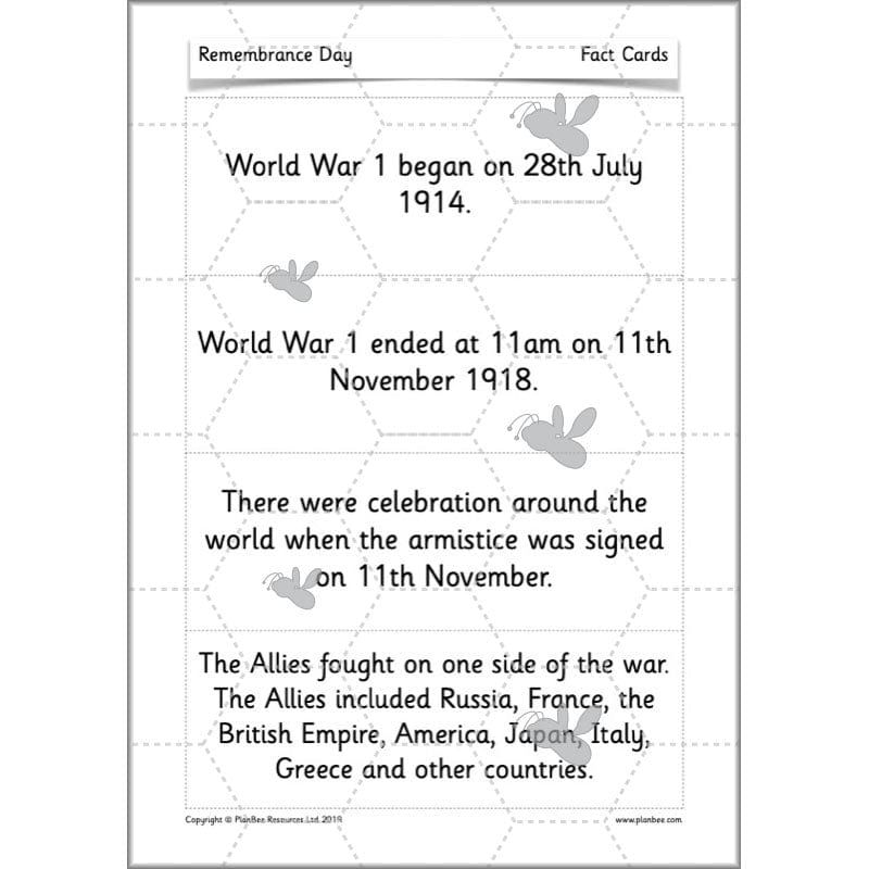 PlanBee KS1 Remembrance Day Lesson | Year 2 History Planning