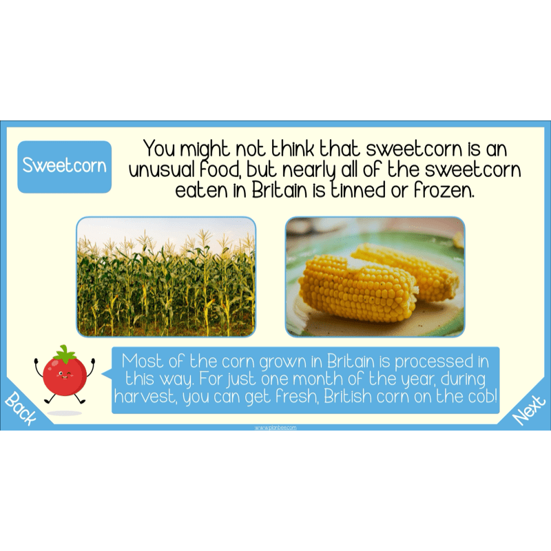 PlanBee Seasonal Food Seasonality KS2 cooking lessons by PlanBee