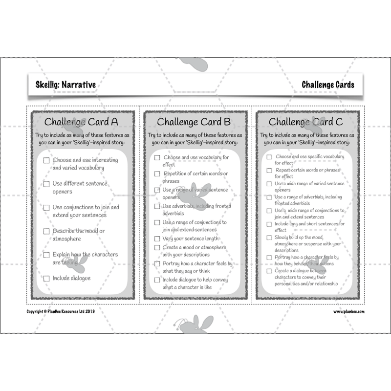 PlanBee Skellig: Narrative