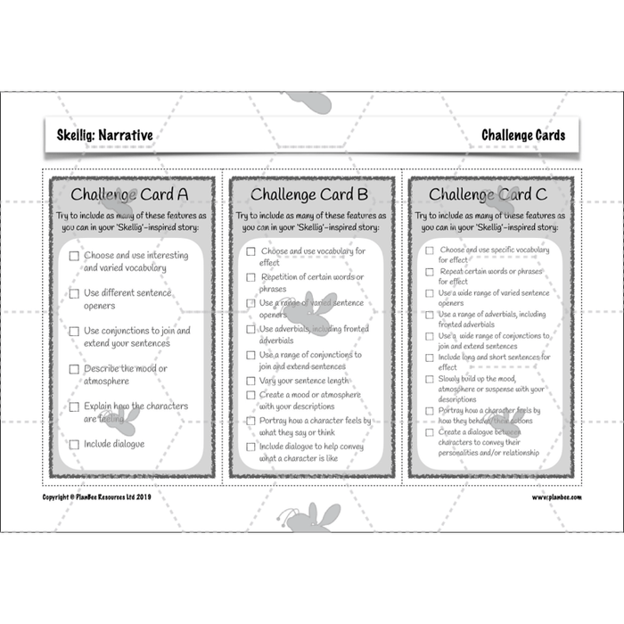 PlanBee Skellig: Narrative