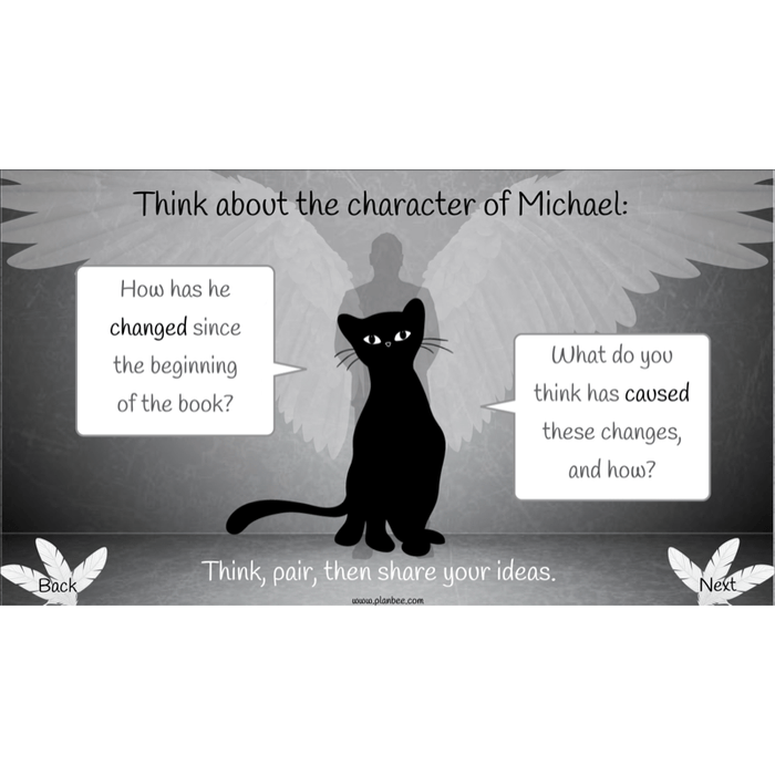 PlanBee Skellig: Reading Comprehension