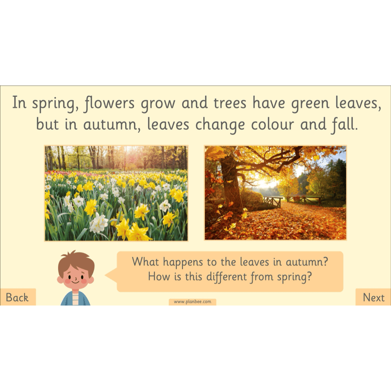 PlanBee The Four Seasons KS1 Geography Lesson Pack