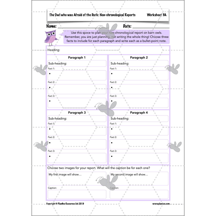 PlanBee The Owl who was Afraid of the Dark | KS2 Non-chronological Reports