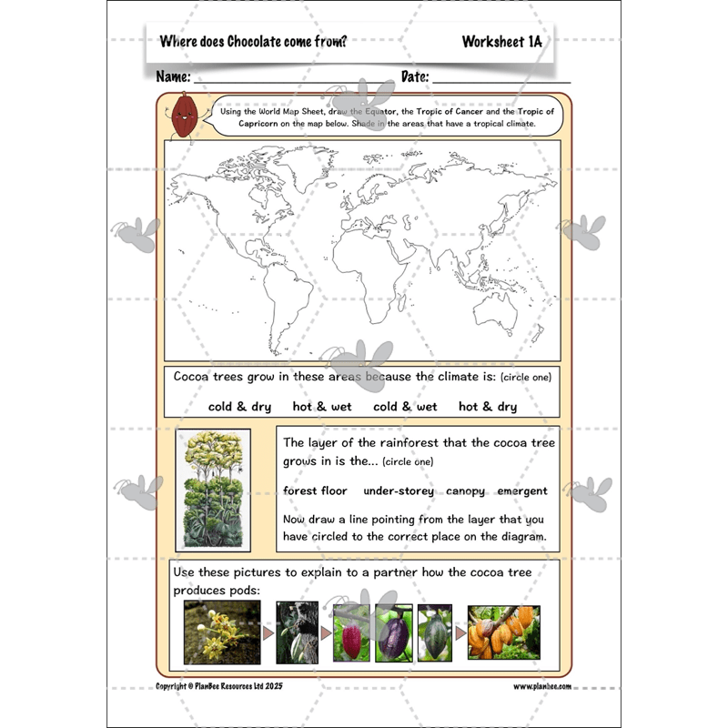 PlanBee Where does Chocolate come from? | KS2 Geography lessons