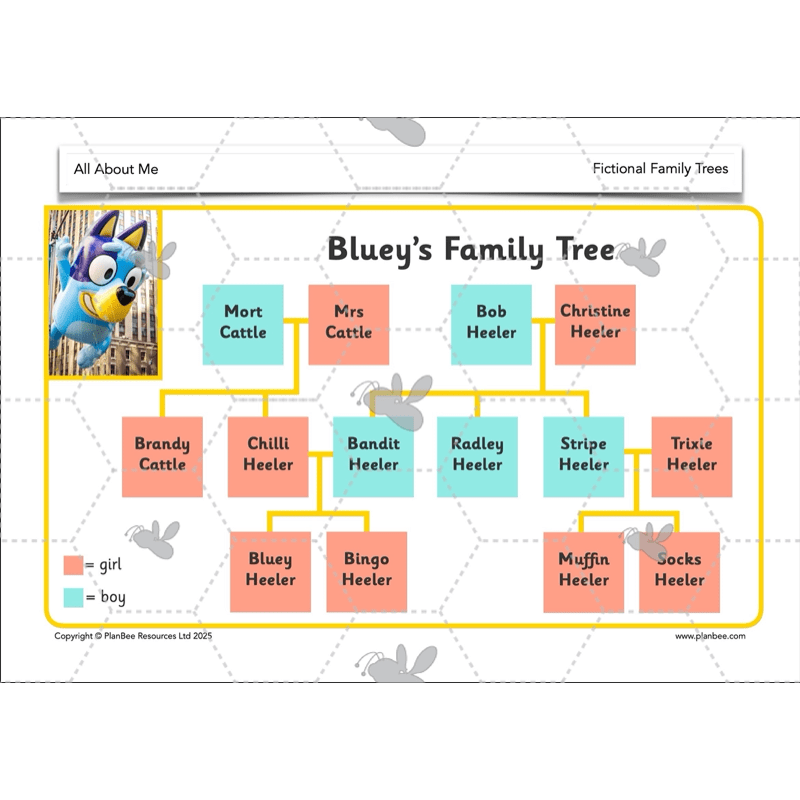 PlanBee All About Me KS1 History Lesson Planning Pack