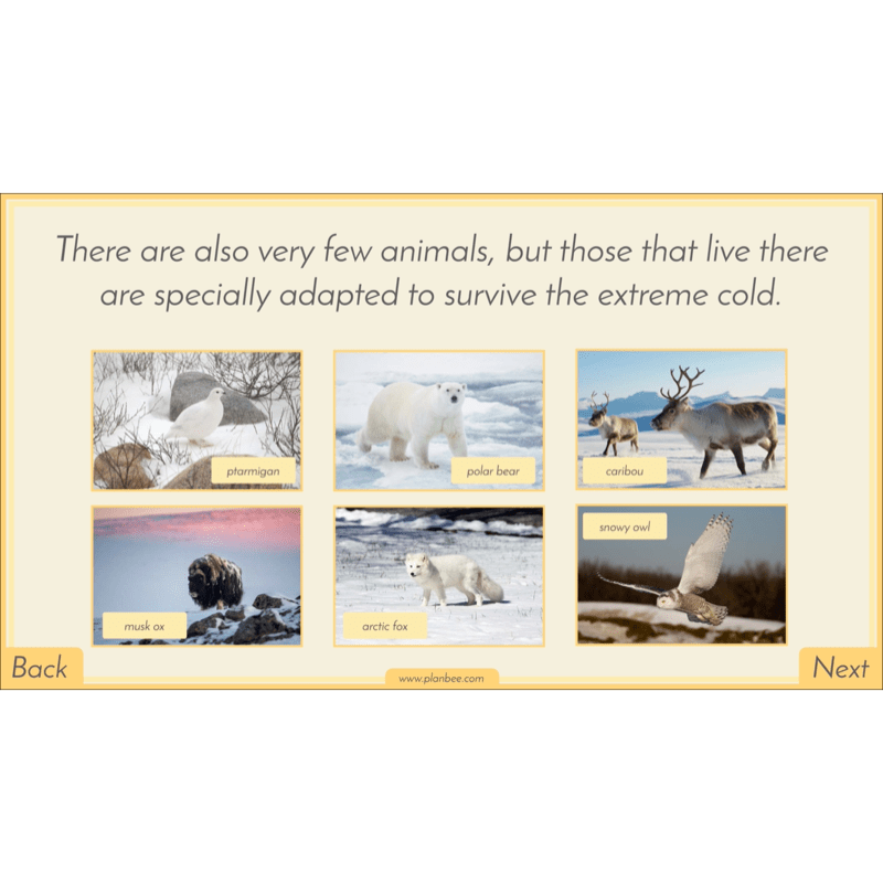 PlanBee Biomes KS2 Geography Lessons