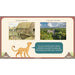 PlanBee KS2 Ancient Maya Civilisation Topic Lessons by PlanBee