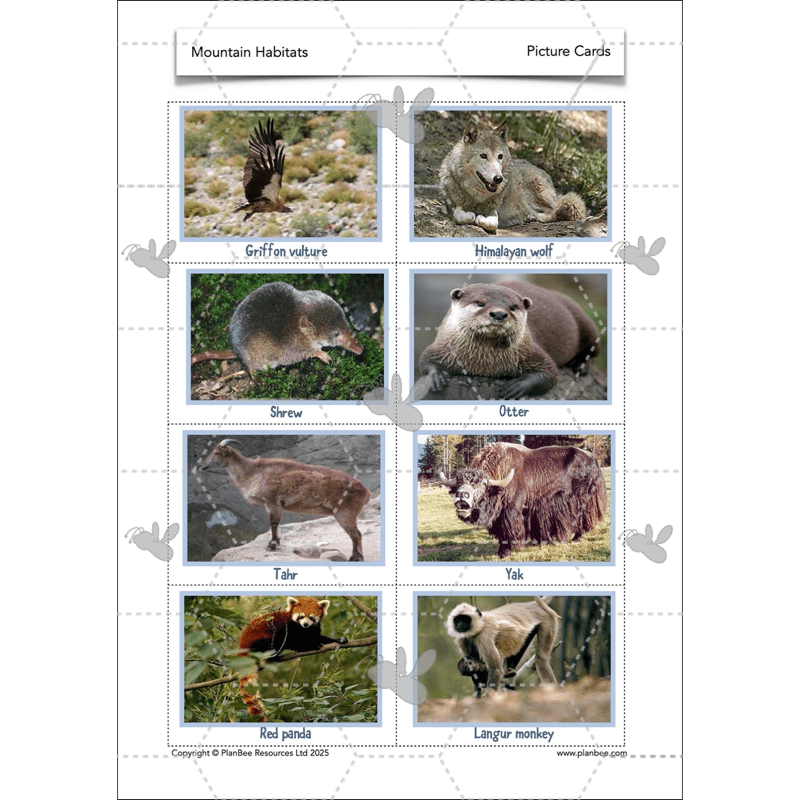 PlanBee Mountain Science KS2 | Food Chains, Adaptation & Life Cycles