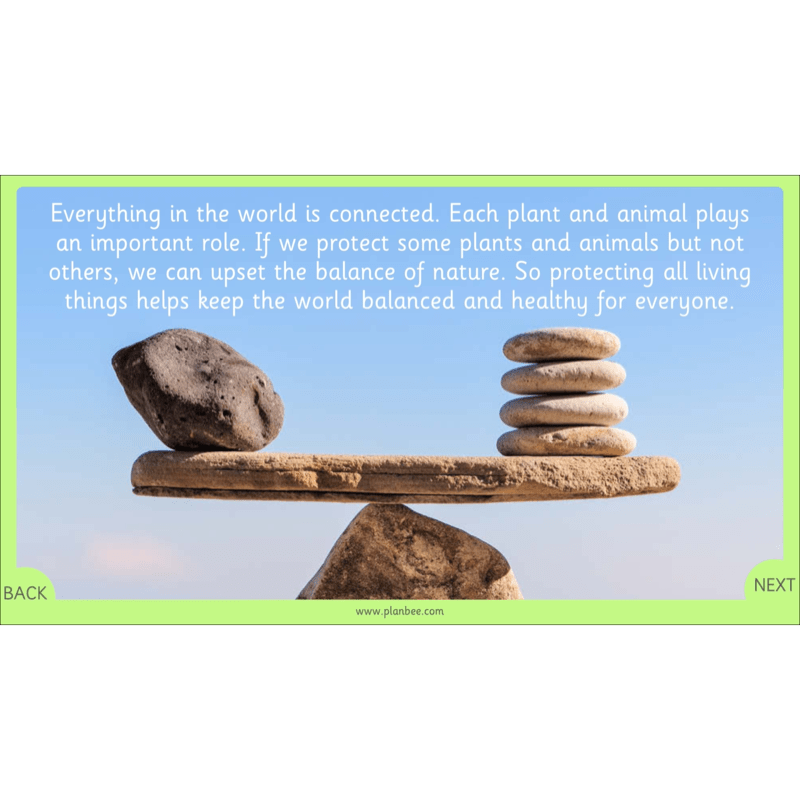 PlanBee Our Wonderful World - Creation Story KS1 RE Lessons | PlanBee