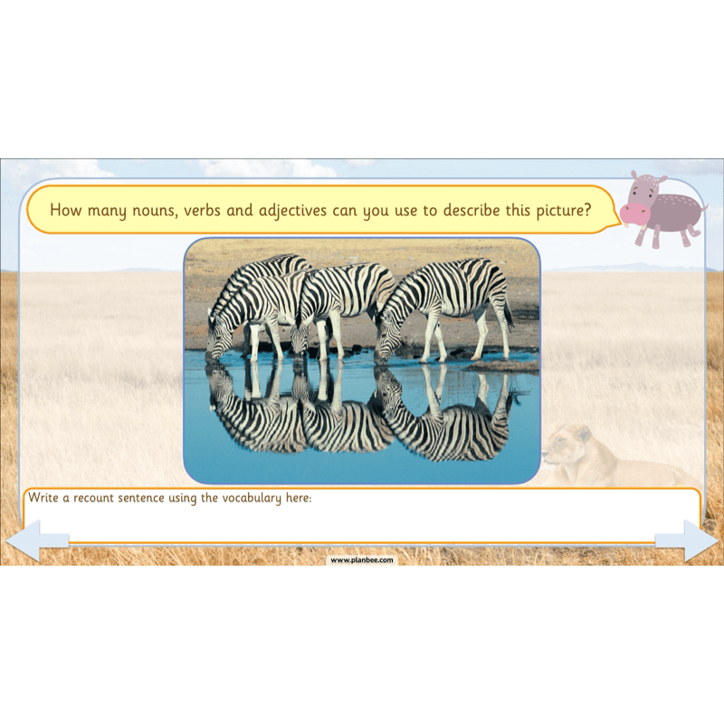 PlanBee Safari Adventures KS1 | English Lesson Pack