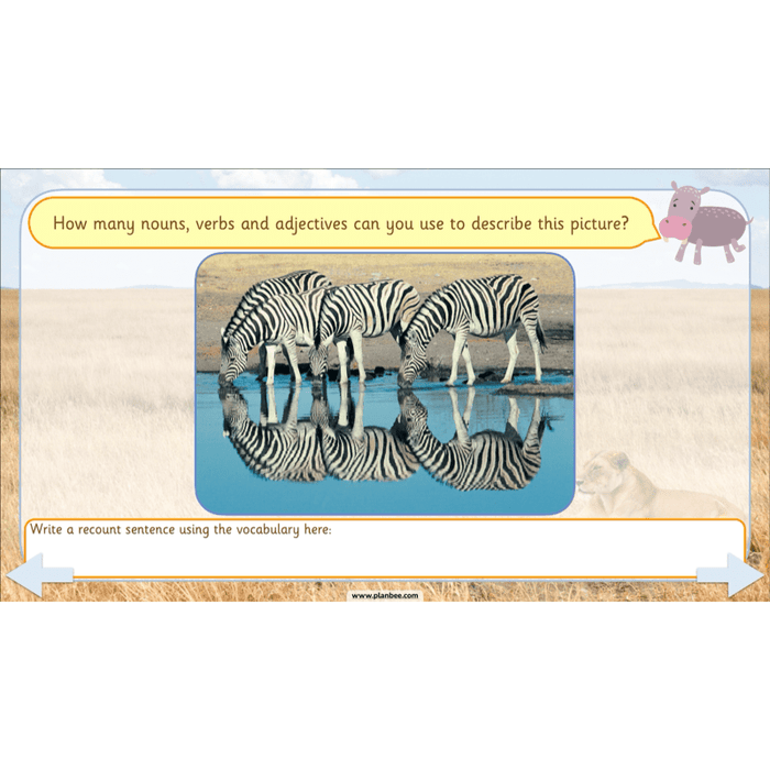 PlanBee Safari Adventures KS1 | English Lesson Pack