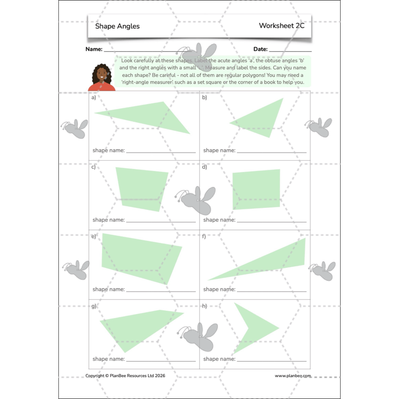 PlanBee Shape Angles Year 4 Shape Properties Lessons by PlanBee