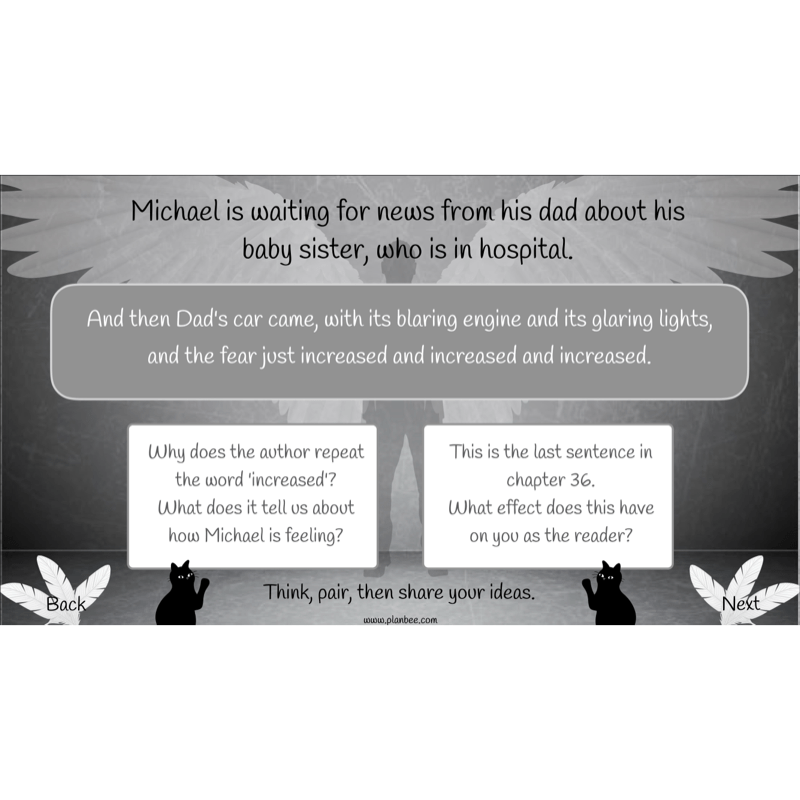 PlanBee Skellig: Reading Comprehension