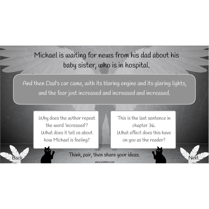 PlanBee Skellig: Reading Comprehension