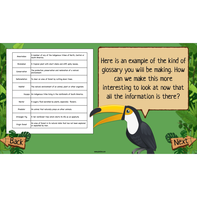 PlanBee The Rainforest Topic KS2 Enrichment Lesson Pack