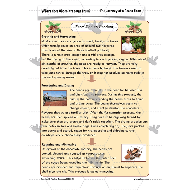 PlanBee Where does Chocolate come from? | KS2 Geography lessons