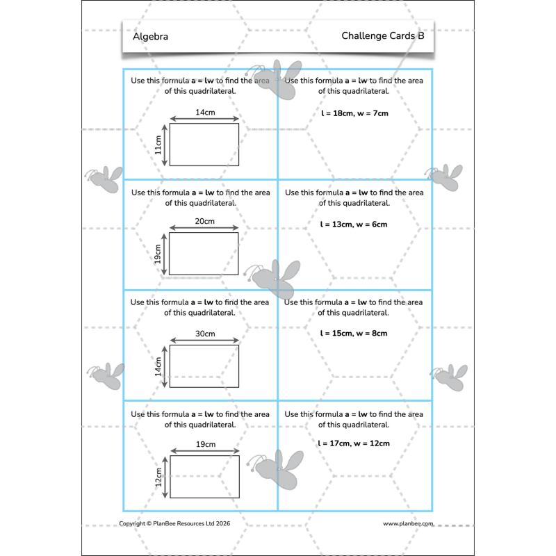 PlanBee Algebra: simple algebra lesson planning for Year 6