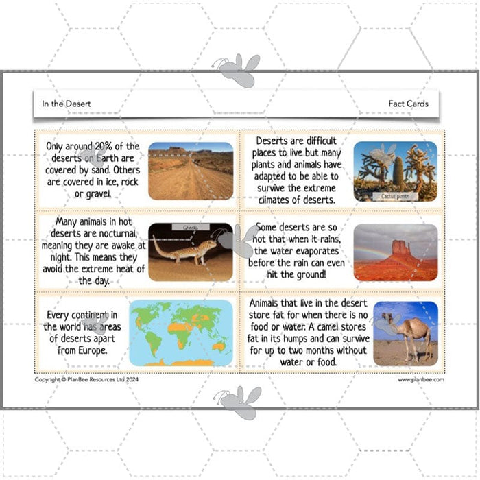 PlanBee In the Desert: Desert Habitat KS2 Geography by PlanBee