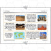 PlanBee In the Desert: Desert Habitat KS2 Geography by PlanBee